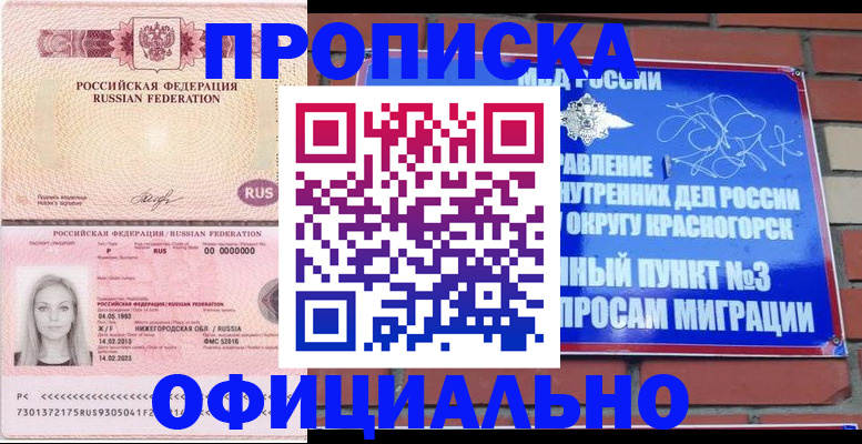временная регистрация собственник в Домодедово